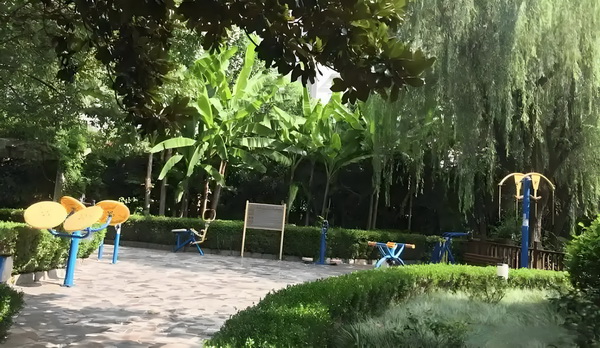 深圳给户口吗_陈佩斯这部高评佳作实至名归 里都下面二代卡坐和网红是富