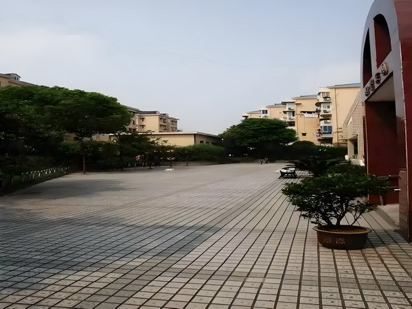 2025深圳落户条件新规_你属于我，酋长近端锋凯尔西首次晒出与霉霉恋爱后的甜蜜合照 越来越多国人还有的外